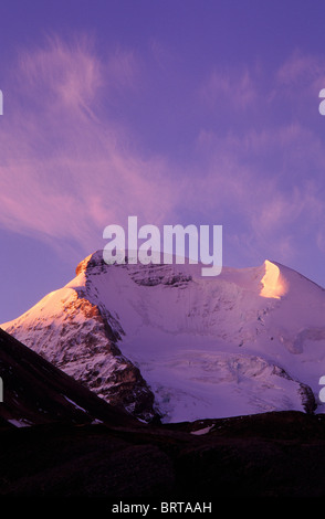 Pink dawn light on Mount Athabasca, Columbia Icefields area, Jasper National Park, Alberta, Canada Stock Photo