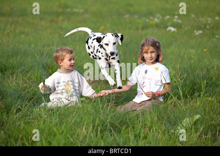 portrait of two young children sitting in a meadow playing with their dalmatian Stock Photo