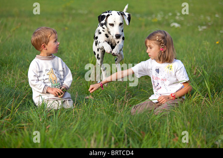 portrait of two young children sitting in a meadow playing with their dalmatian Stock Photo