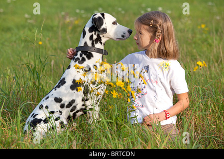 portrait of a little girl sitting beside her dalmatian in a flower meadow Stock Photo