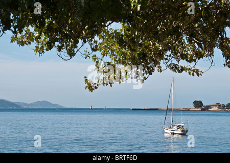 Sail boat under a tree foliage, on the quite waters of 'Ria of Vigo', Galicia Pontevedra, Summer time in North Spain Stock Photo