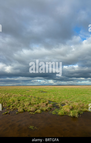 Ribble Marshes Stock Photo