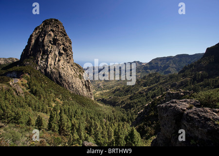 Canary Islands, La Gomera, Garajonay National Park (UNESCO Site), Los Roques Stock Photo