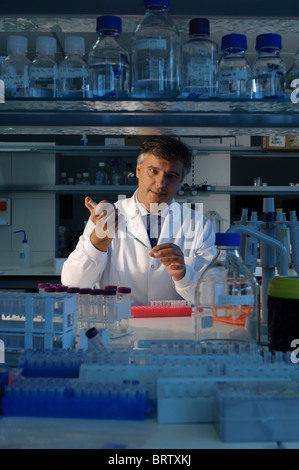 Scientist working in lab Stock Photo