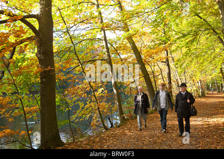 going for a walk in an autumnal forest Stock Photo