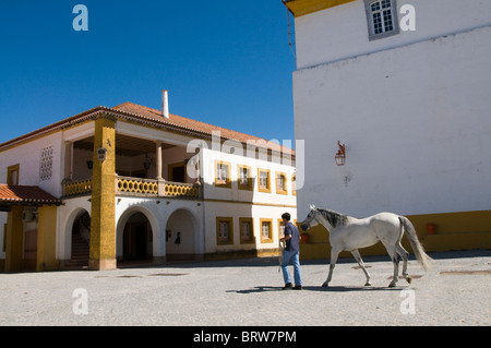 Coudelaria de Alter do Chao, the most famous studfarm in Portugal. Most horses are Lusitanos Stock Photo