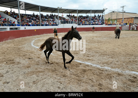 Xmatkuil, Yucatan / Mexico - November 12: Charro tournament during the Xmatkuil Fair Stock Photo