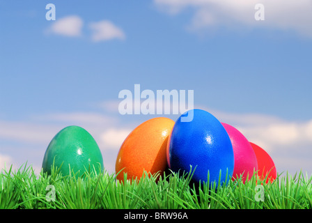Ostereier auf Blumenwiese mit Himmel - easter eggs on flower meadow and sky 02 Stock Photo