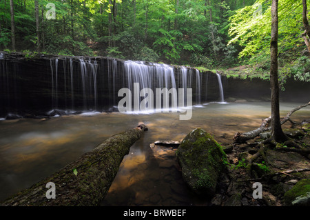 Princess falls waterfall on the lick creek trail Big South Fork National River and Recreation Area Sheltowee Trace Kentucky KY Stock Photo