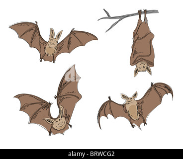 cartoon bats, in pencil drawing style. Stock Photo