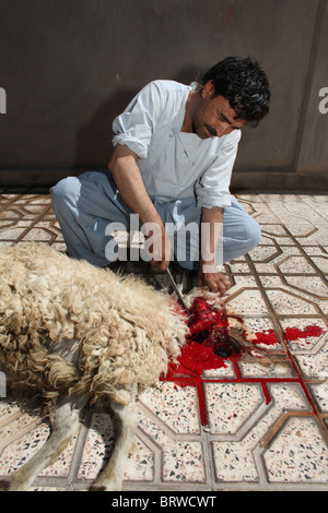 halal slaughtering in Afghanistan Stock Photo