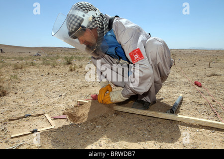 Halo trust clears minefields in Afghanistan Stock Photo