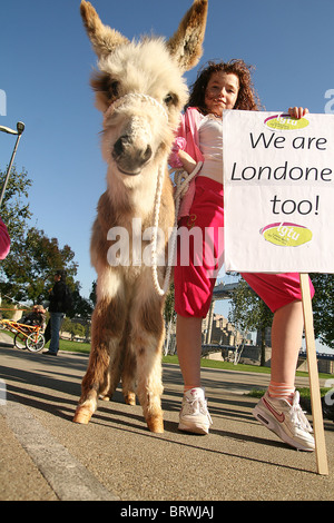 Gypsies demanding that their be heard and considered by London's Mayor boris Johnson Stock Photo