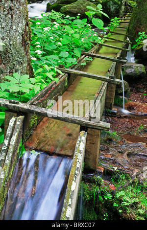 The trough or 'Runway' used to bring the water to a grist mill in The Great Smoky Mountains National Park Stock Photo