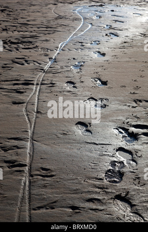 View of bicycle tracks and shoe prints on muddy beach Stock Photo