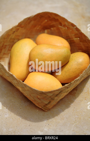 Yellow mangoes in basket