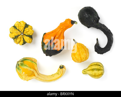 Colorful gourds isolated on white background Stock Photo