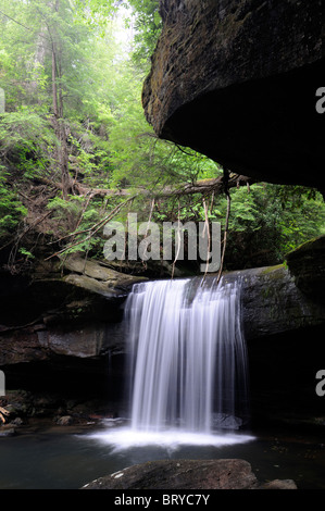 Dog slaughter Falls waterfall Cumberland Falls State Park Kentucky undercut undercutting overhang erosion river creek erode Stock Photo