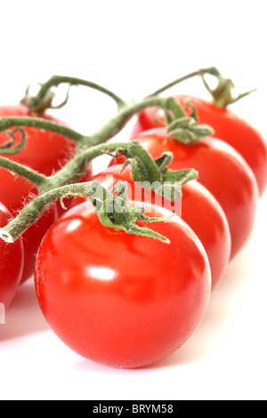 Fresh red tomatoes on vine on white background Stock Photo