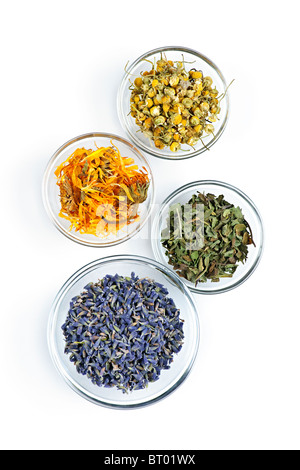 Bowls of dry medicinal herbs on white background from above Stock Photo