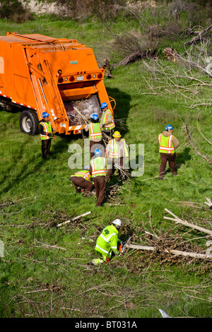 A Hispanic maintenance crew collects limbs of trimmed trees beside a freeway in Keyes, California. Note foreman in yellow hat. Stock Photo