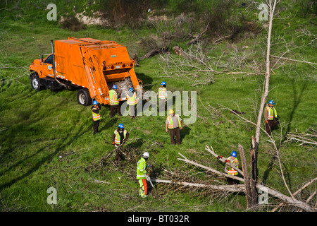 A Hispanic maintenance crew collects limbs of trimmed trees beside a freeway in Keyes, California. Note foreman in yellow hat. Stock Photo