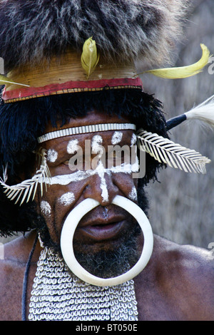 Dani tribesman, Baliem Valley, Papua, Indonesia Stock Photo