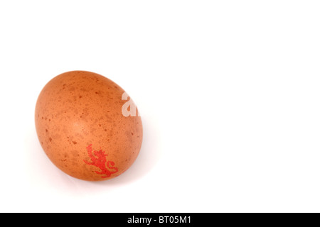 Single brown egg stamped with lion mark against a white background Stock Photo
