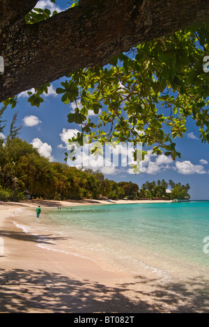 Gibbs Beach,Barbados,West Indies Stock Photo