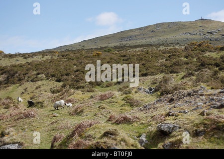 A landscape view across Dartmoor National Park in Devon, England Stock Photo
