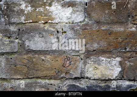 A wall made out of London brick Stock Photo