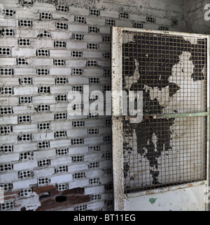 White brick wall and rusty cellar door. Stock Photo