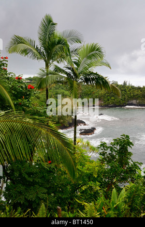 Onomea Bay near Hawaii Tropical Botanical Garden in Hilo, Big Island, Hawaii, USA. Stock Photo