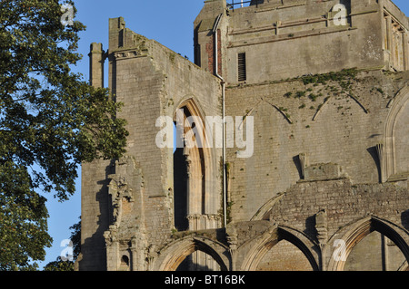 Crowland - or Croyland - Abbey, Lincolnshire, UK Stock Photo