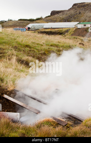 Greenhouses in Hveragerdi heated by geothermal heat, Iceland. Stock Photo