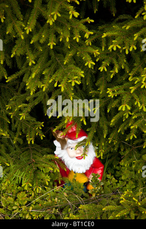 Santa garden gnome hidden underneath spruce branches Stock Photo