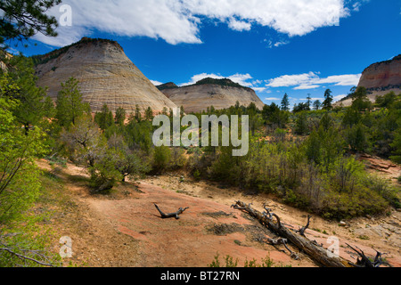 Checkerboard Mesa in Zion National Park, USA Stock Photo - Alamy