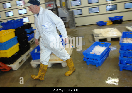 Fishermen and staff at Looe fish market in Cornwall South West England Stock Photo