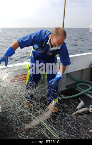 Fishing for Pollock out of Looe in Cornwall - This fisherman meets the good fish guide standards Stock Photo