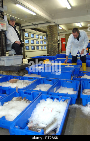 Fishermen and staff at Looe fish market in Cornwall South West England Stock Photo