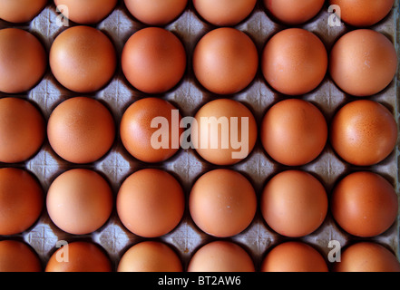 hen eggs rows pattern box food background Stock Photo