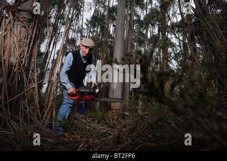 Old man with red chainsaw in woods Stock Photo