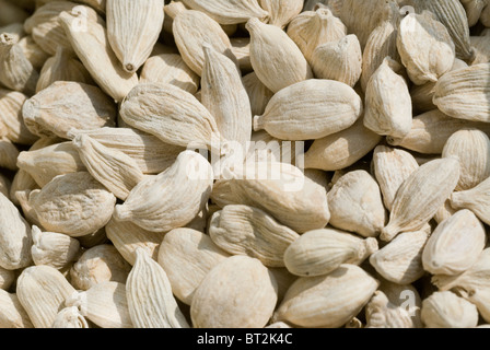 White seeds of cardamom Stock Photo