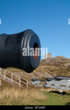 Canada, Newfoundland and Labrador, St. John's. Cannon on Signal Hill in front of Cabot Tower Historic Site. Stock Photo