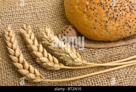 Poppy seeded bloomer on sacking with dried ear of wheat and poppy stem Stock Photo