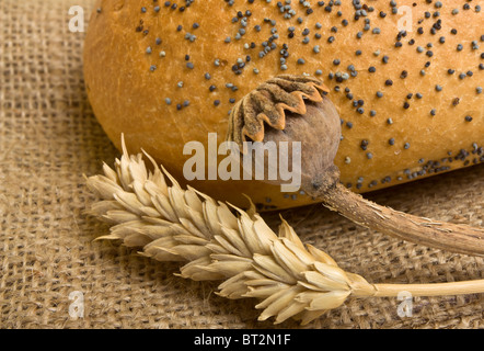 Poppy seeded bloomer on sacking with dried ear of wheat and poppy stem Stock Photo