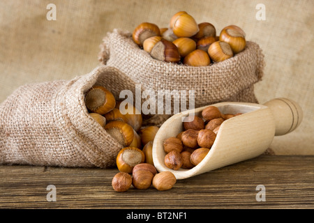 Ripe hazelnuts in a bags Stock Photo