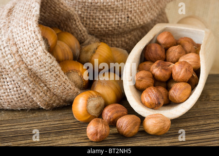 Ripe hazelnuts in a bags Stock Photo