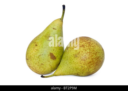 Two conference pears isolated on white background Stock Photo