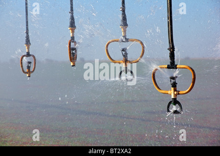 Water sprinklers of a center pivot crop irrigation system Stock Photo
